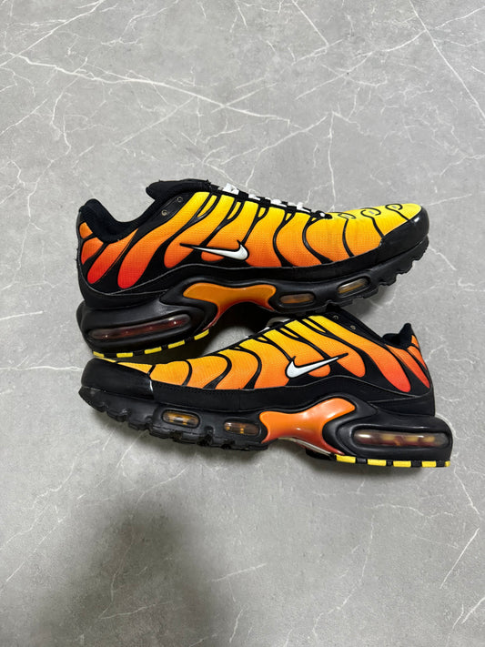 Nike TN Tiger (EU 44)