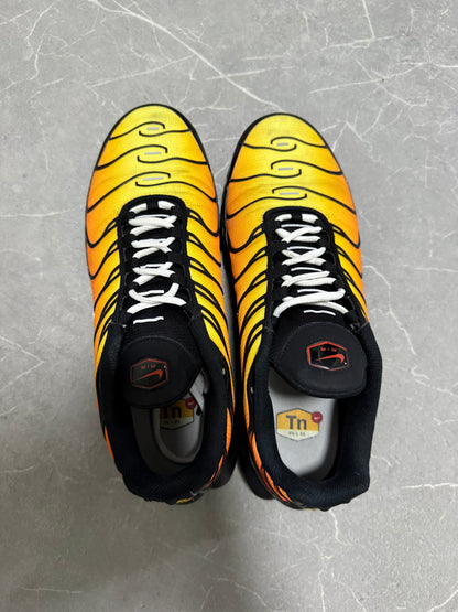 Nike TN Tiger (EU 44)