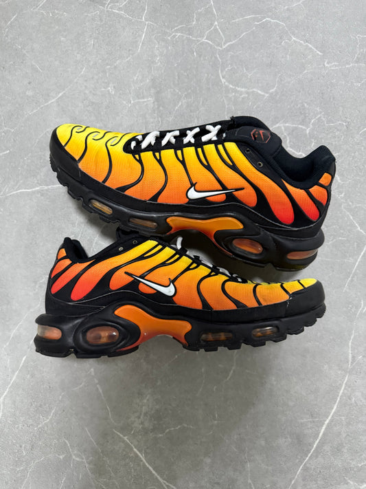 Nike TN Tiger (EU 44)